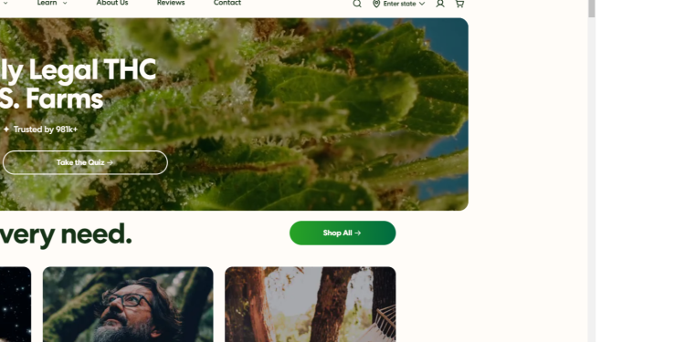 Mood.com: Redefining the Cannabis Experience with Quality and Care